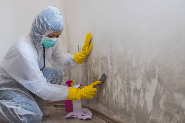 Asbestos and Lead Testing During Mold Inspection in South San Francisco, CA