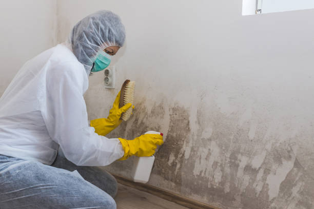 Best Airborne Mold Testing  in South San Francisco, CA