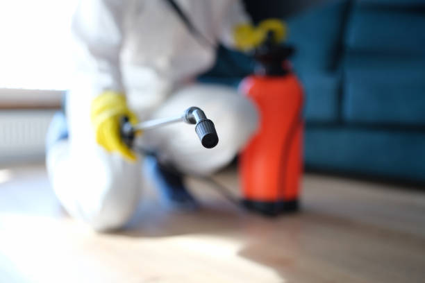 Best Mold Documentation for Insurance Claims  in South San Francisco, CA